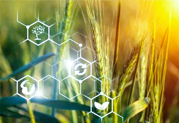 20251 Teknologi Pangan (CUM)